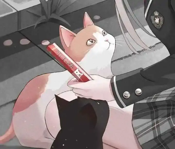 西檬之家-OTK是什么？字母圈新人入圈指南