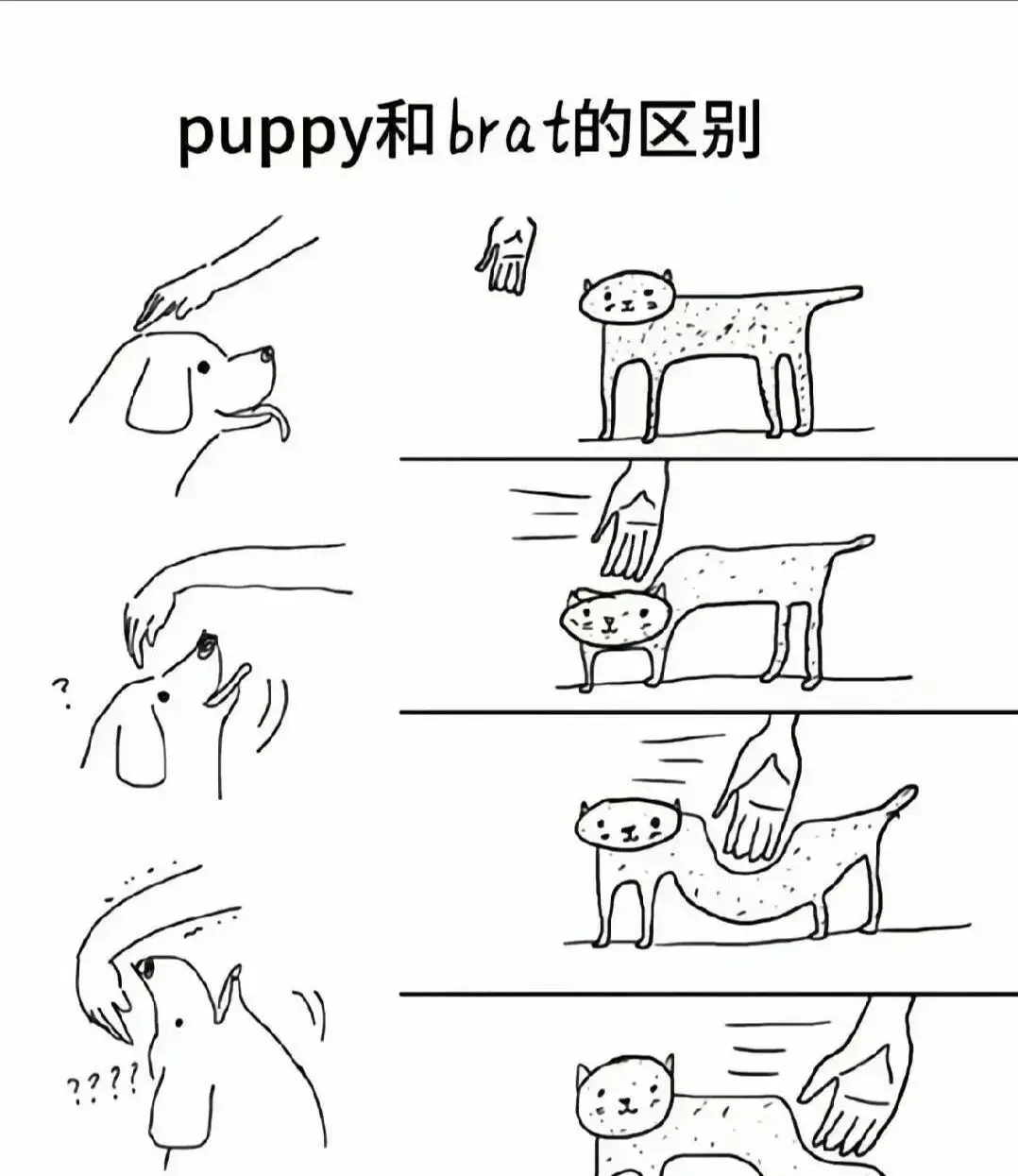 【西檬之家】字母圈Brat属性解析与实践指南