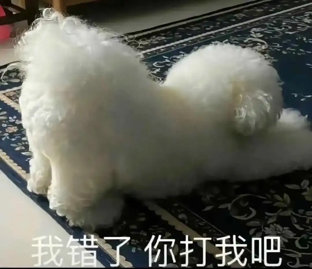 西檬之家-字母圈新人如何入圈？从基础术语到实践指南