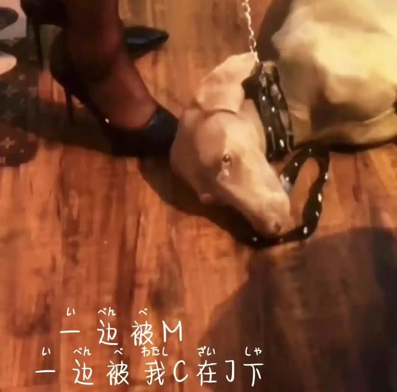 【西檬之家】-字母圈新人BDSM指南