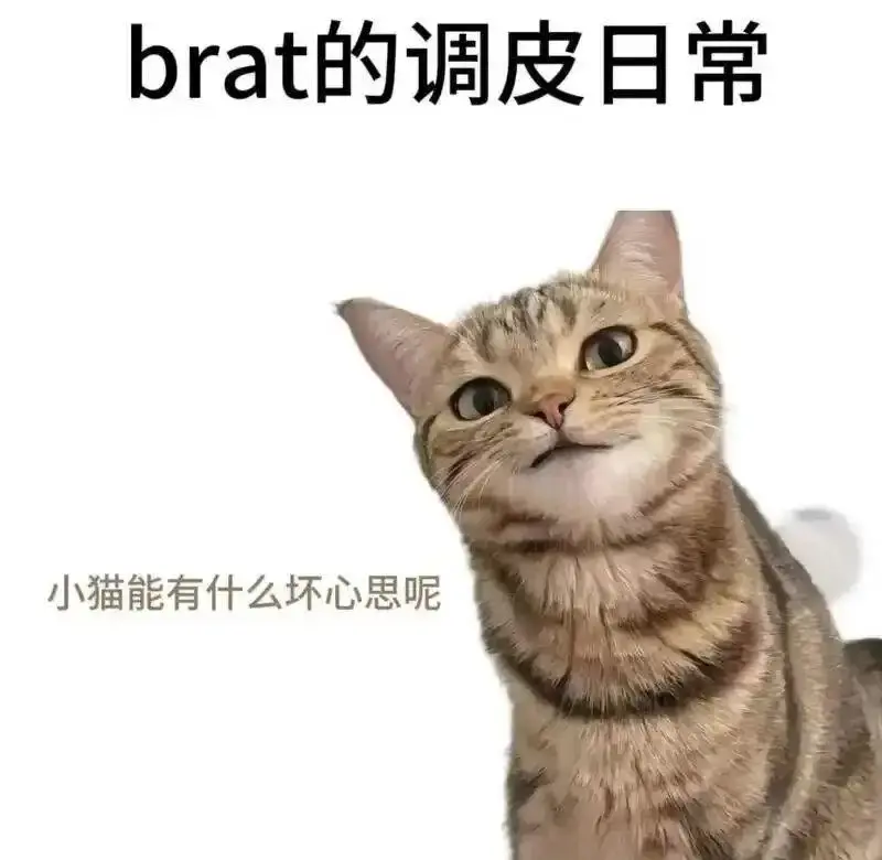 BDSM入圈 - 微信图片_20251203212836_109_19