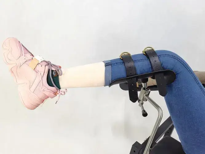 管教 - 11669