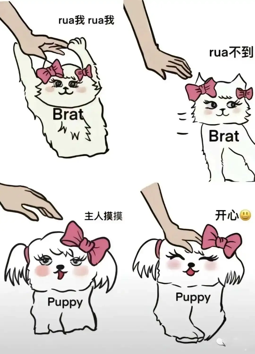西檬之家-DT是什么？BDSM新人入坑指南