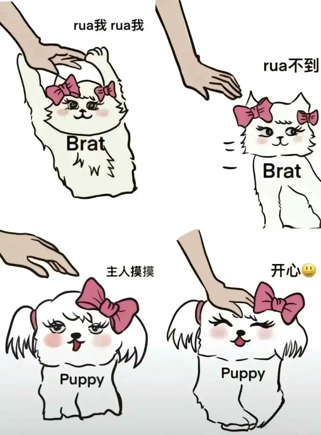 Spank：实用指南