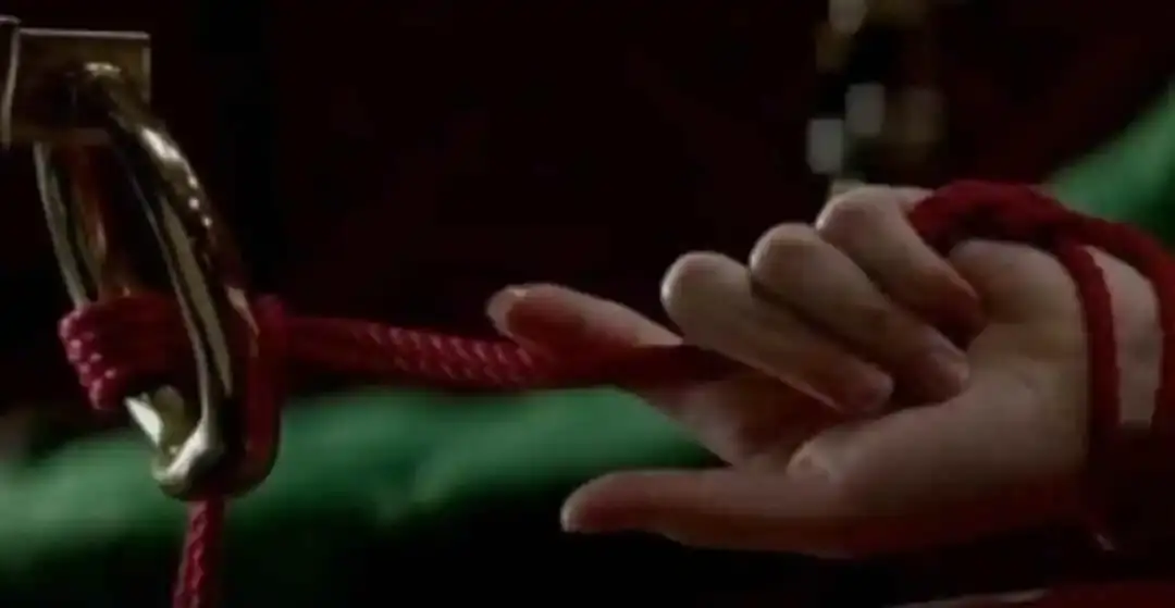 BDSM - 2023_11_14_22_10_IMG_9024