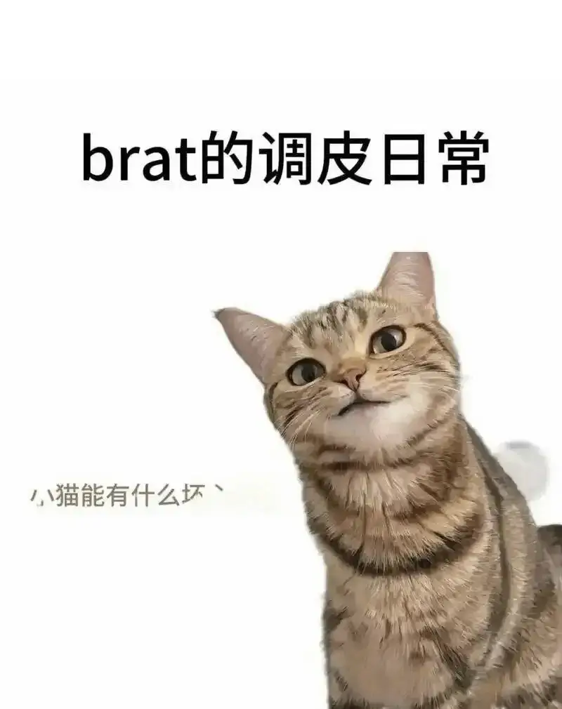 西檬之家-OTK是什么？字母圈新人入圈必看指南